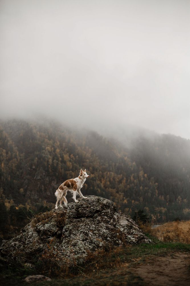 Фотография автора Kuzina Vera