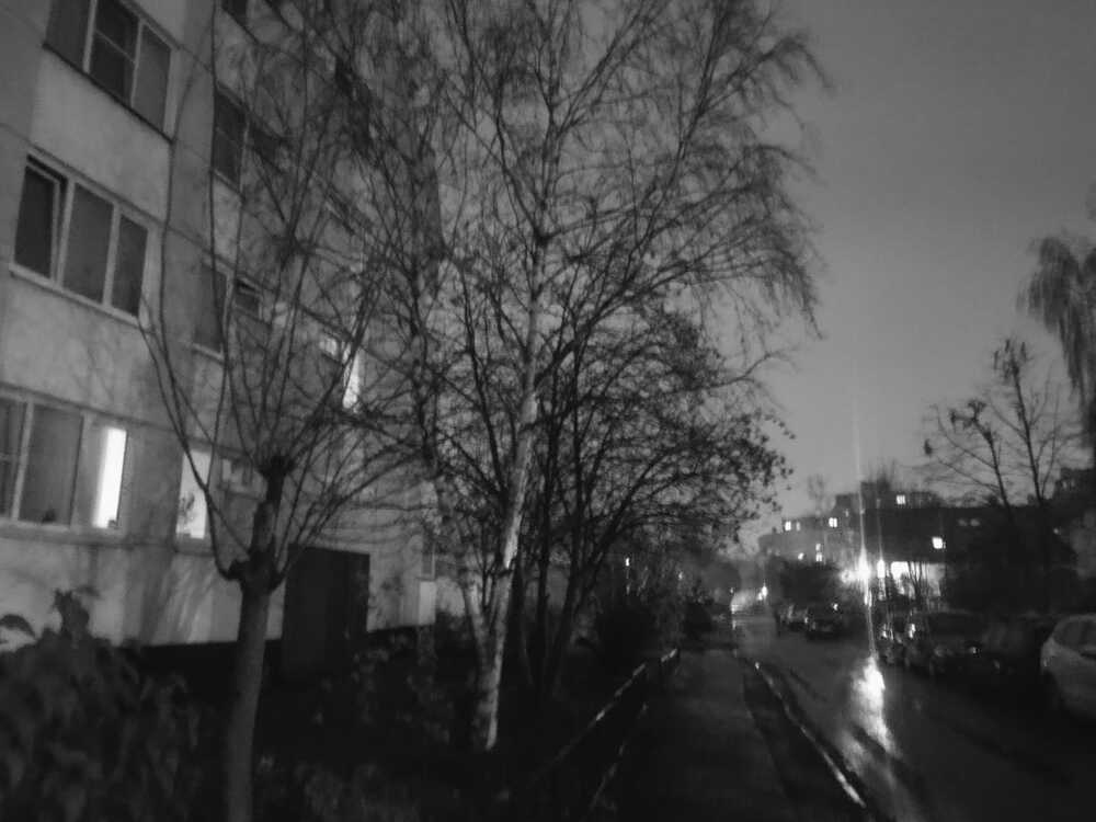 Photograph by Юлия Новожилова