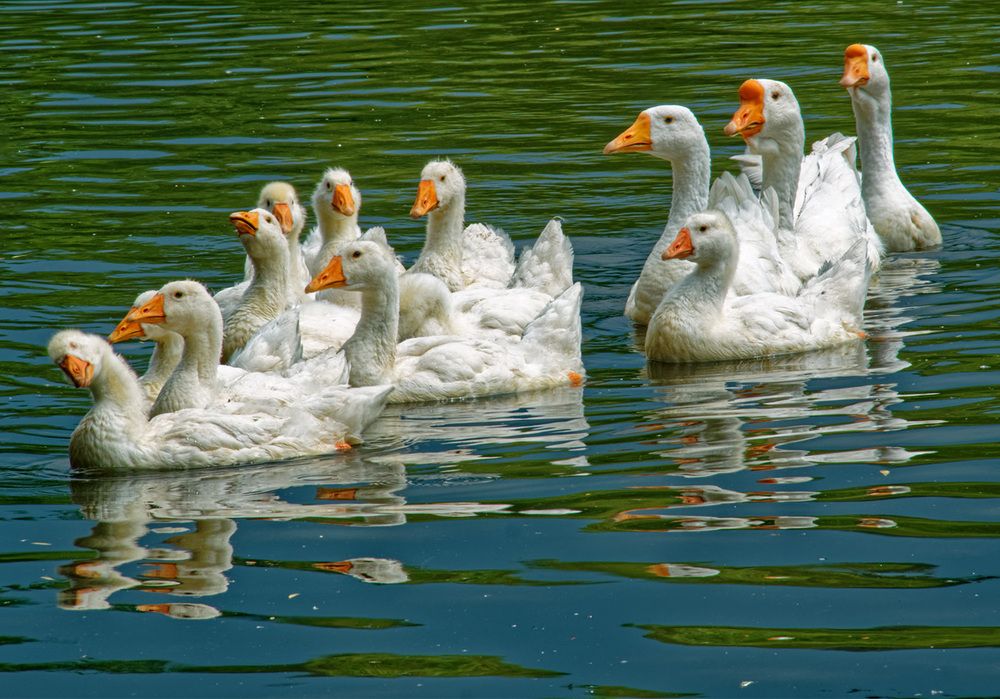 Photograph by Павел Кулинич