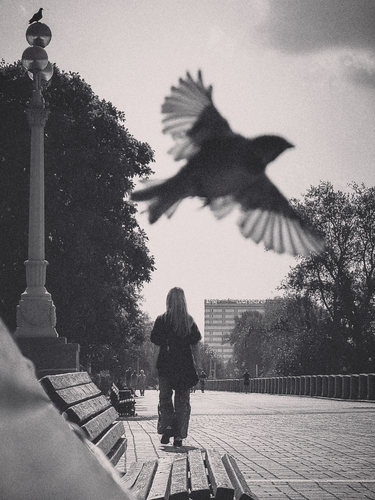 Photograph by Татьяна Цапкова