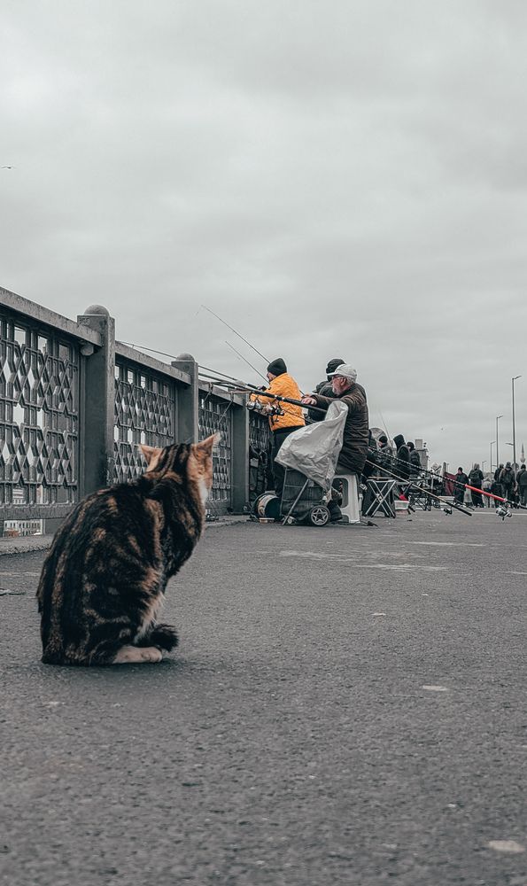 Photograph by Андрей Амбеталь