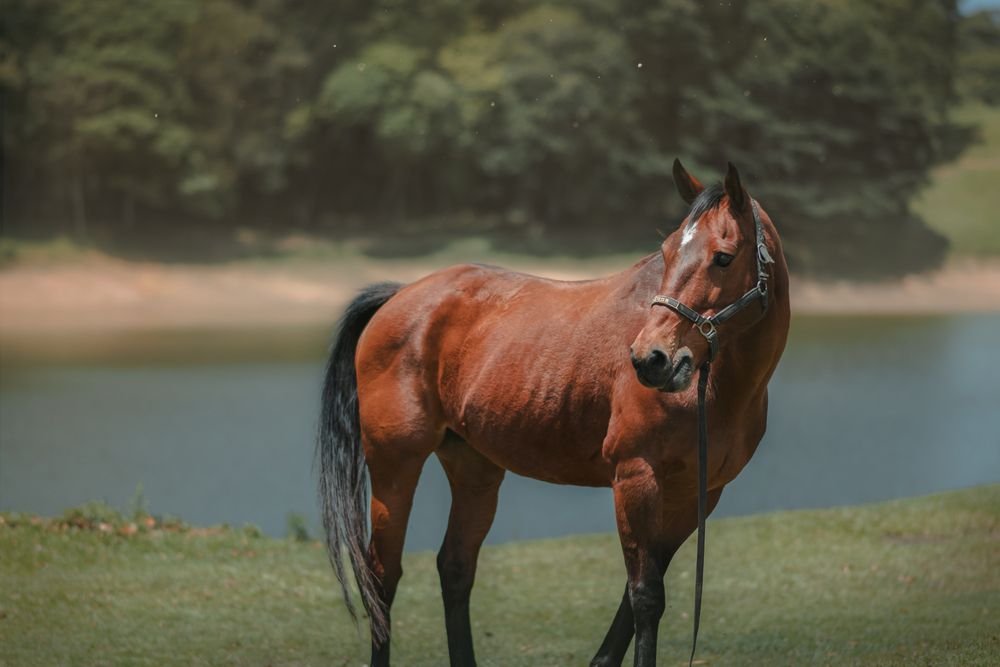 Photograph by Mauritânia Tavares