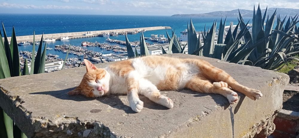 Photograph by Лариса Неудачина