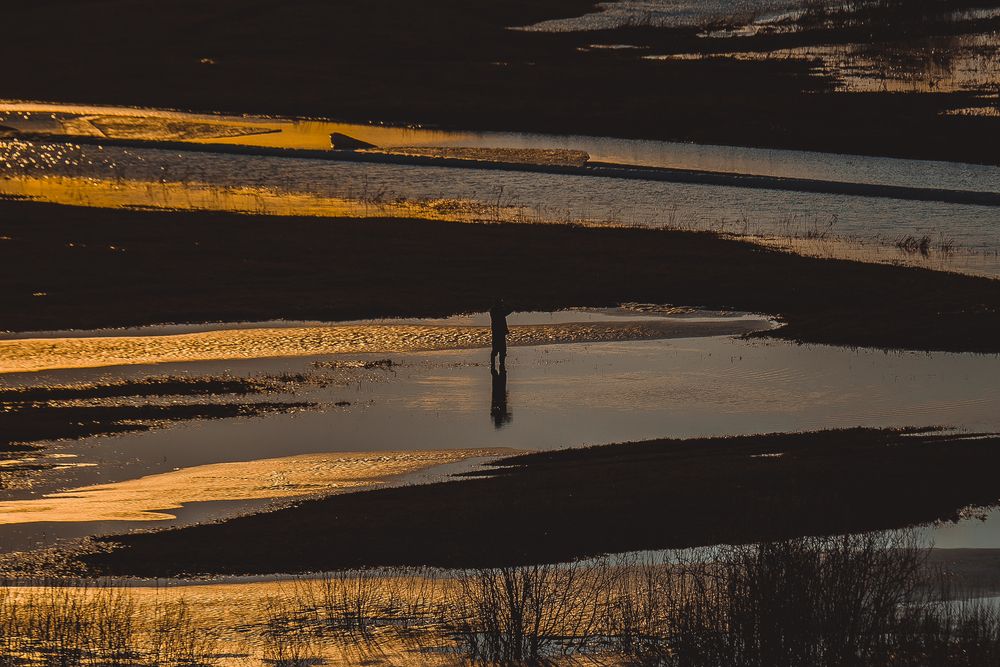 Photograph by Страхов Павел