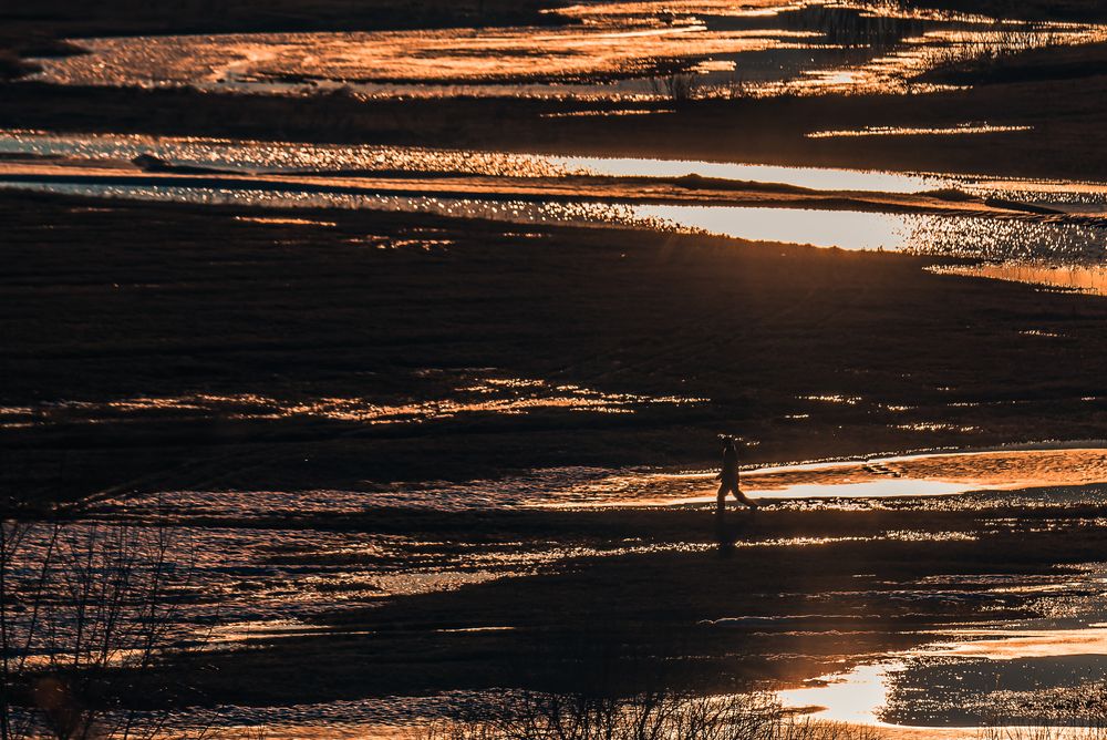 Photograph by Страхов Павел