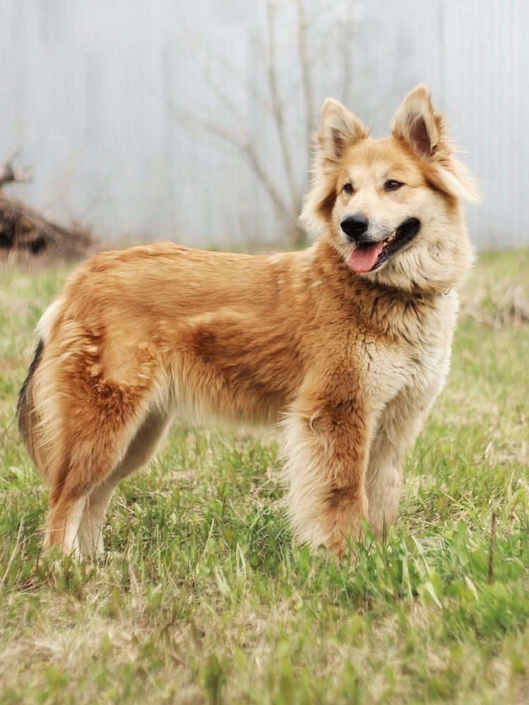 Фотография автора Евгения Никишина