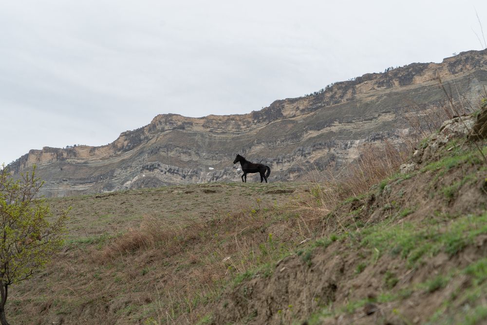 Photograph by Евгения Ковригина