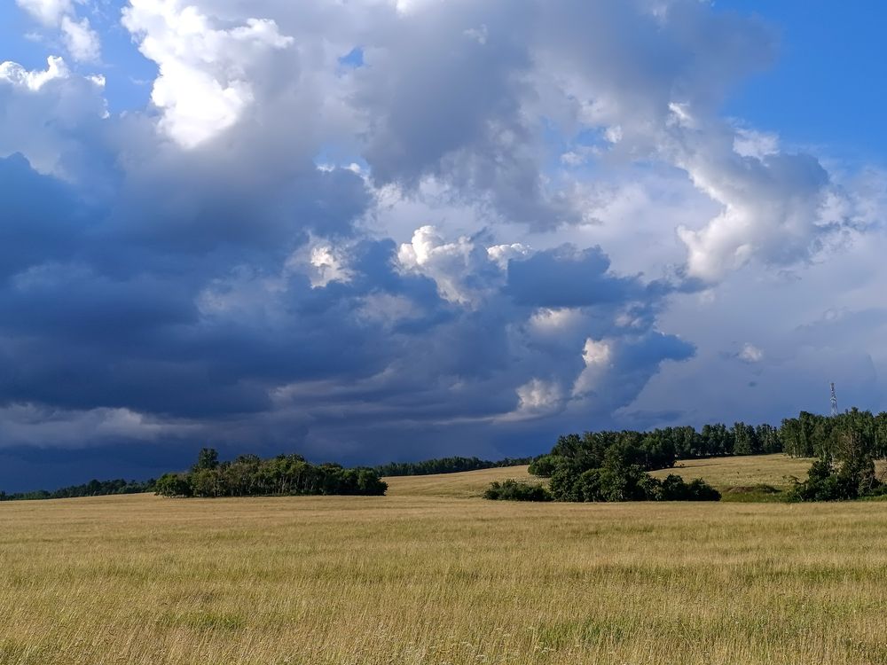 Photograph by Ольга Крит