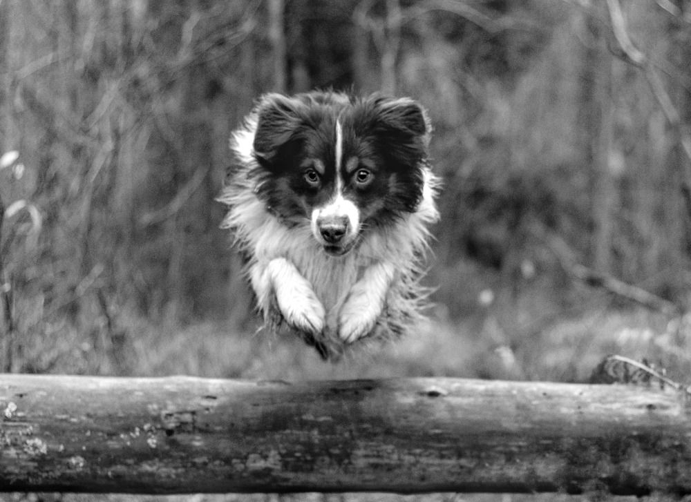 Photograph by Татьяна