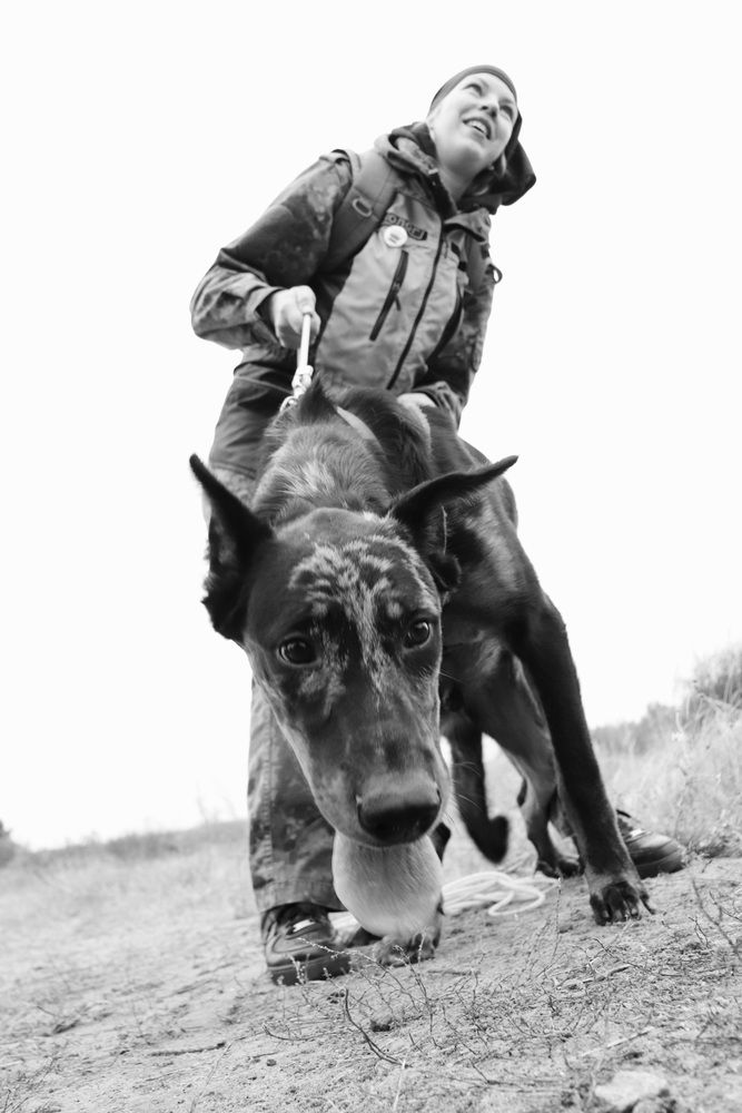 Photograph by Алексейчик Дмитрий