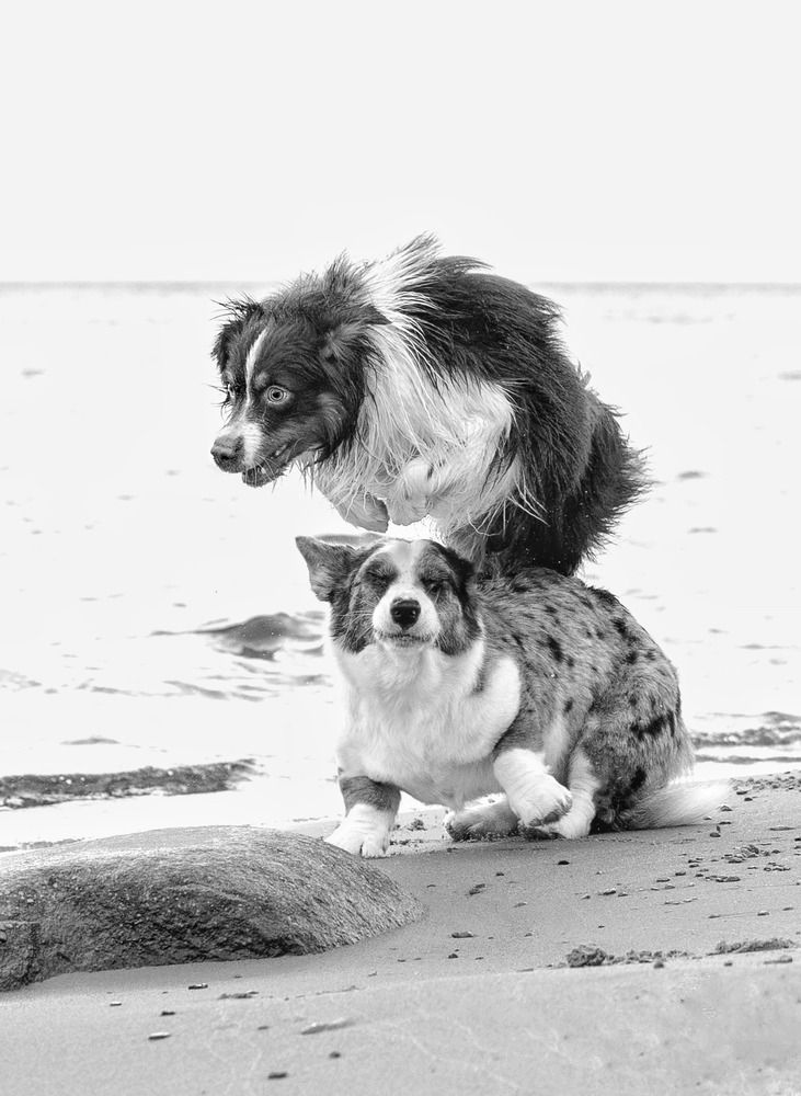 Photograph by Татьяна