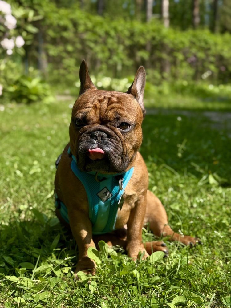 Photograph by Mariia Voloshina