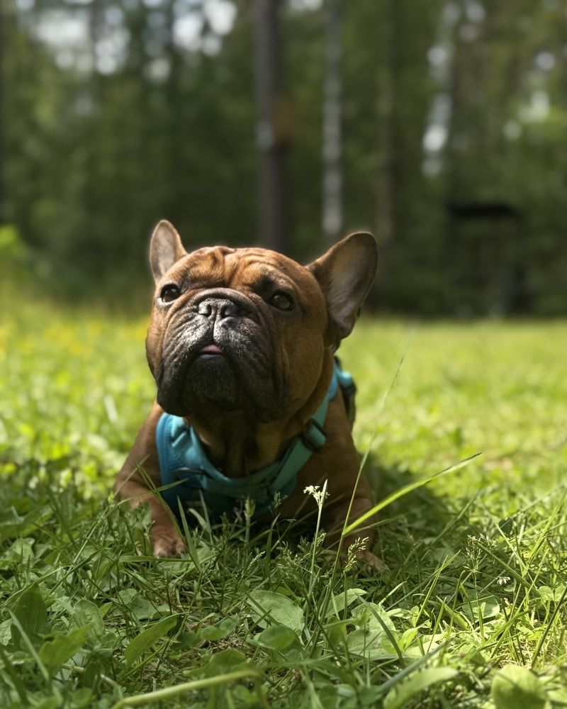 Photograph by Mariia Voloshina