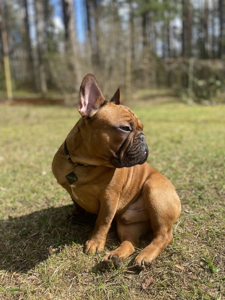 Photograph by Mariia Voloshina