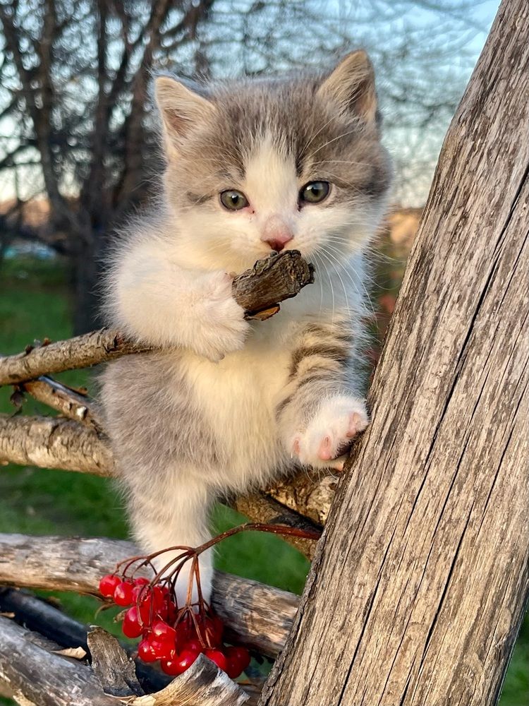 Photograph by Света Троянова