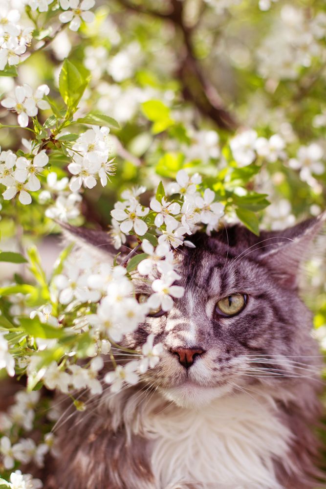 Фотография автора Александра Наливаева