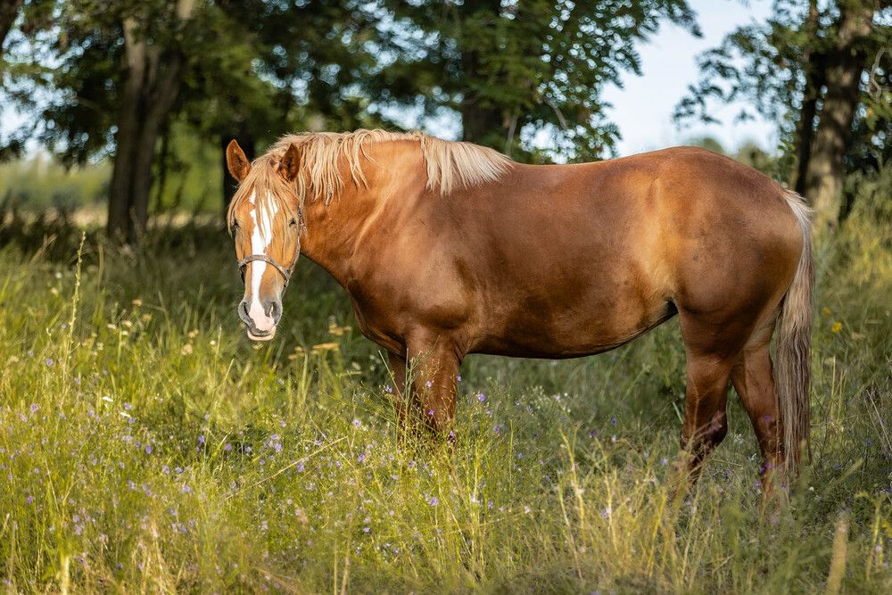 Фотография автора Анна Абрамова