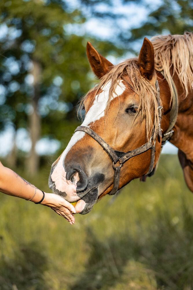 Фотография автора Анна Абрамова