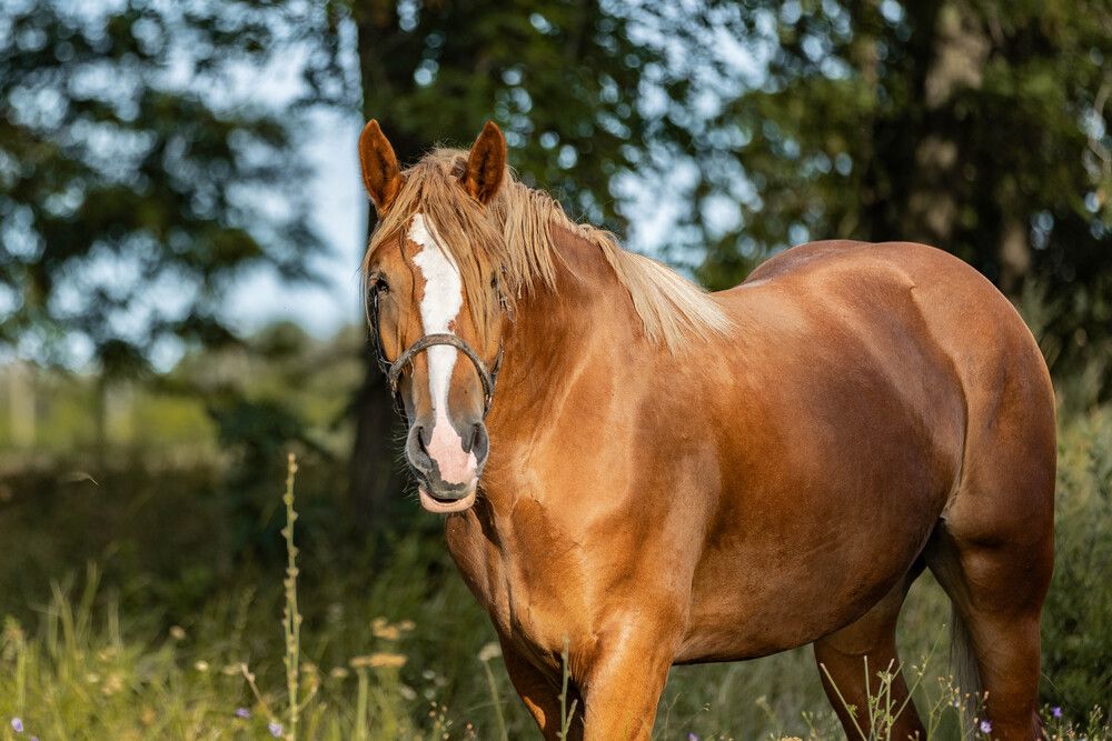 Фотография автора Анна Абрамова