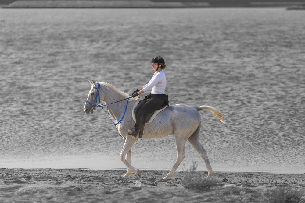 Photograph by Leslee Jayachandran