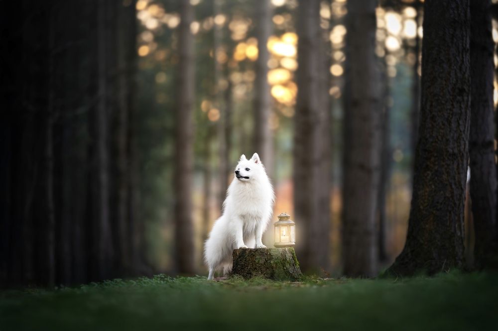 Photograph by Shanna van Mens