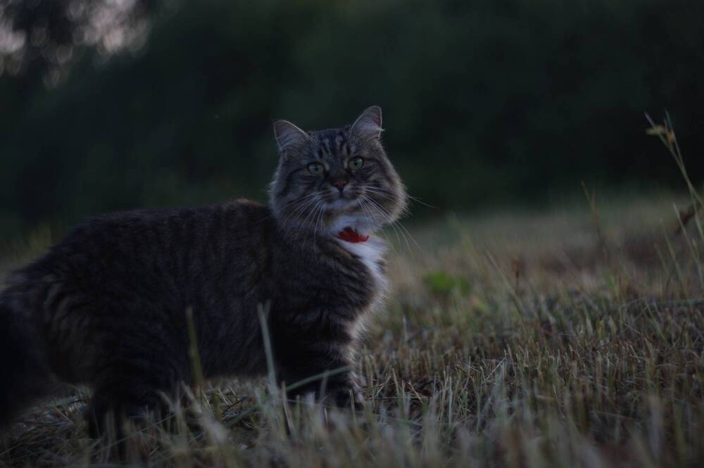 Photograph by Елена