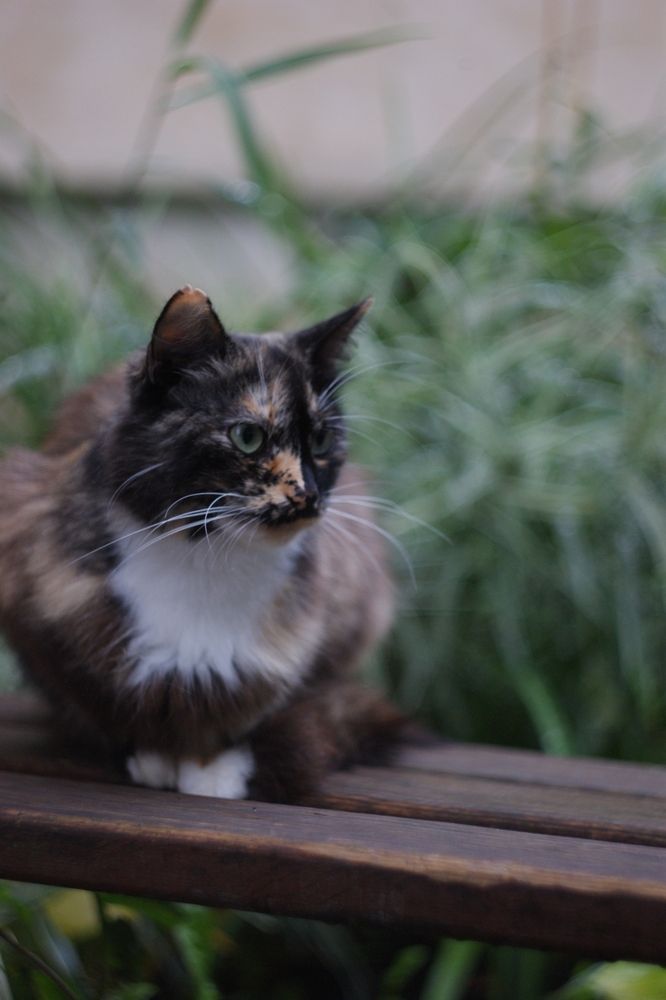 Photograph by Елена