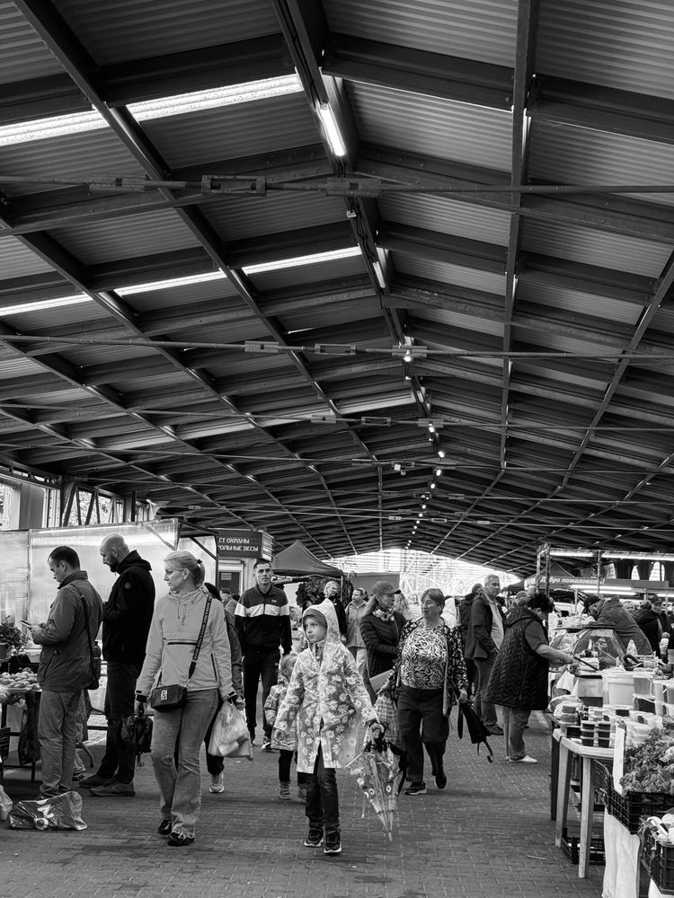 Фотография автора Елена Меньшикова