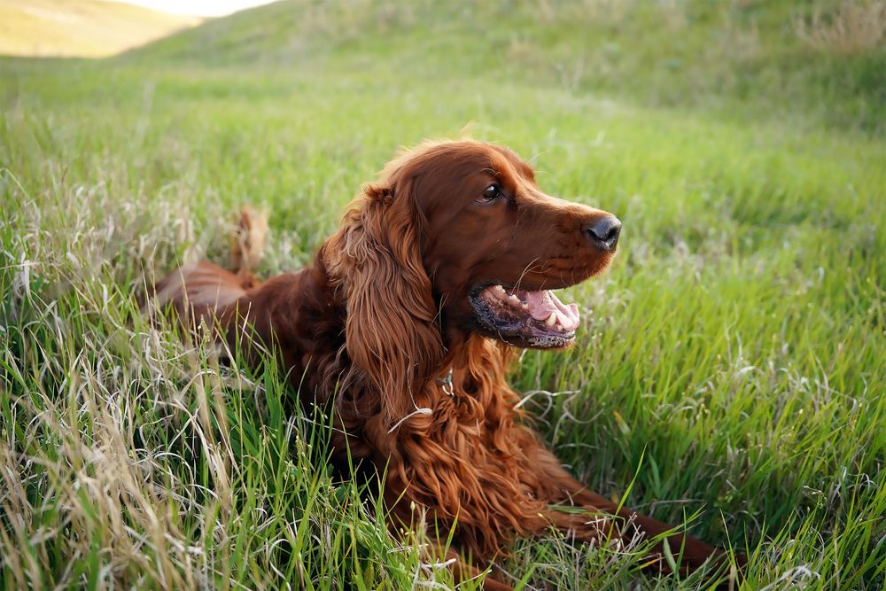 Photograph by Коржова Наталья