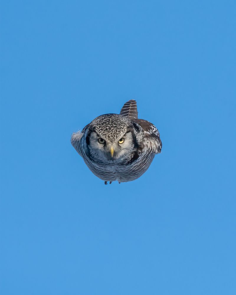 Photograph by James David Raj