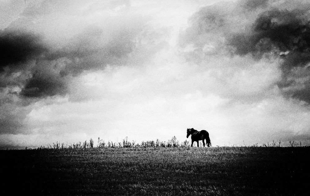 Photograph by Владимир Штыриков