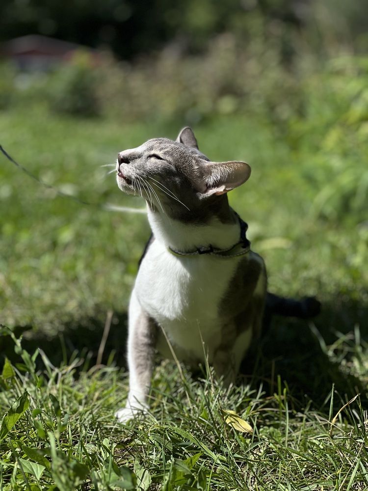 Photograph by Дмитрий Костяков