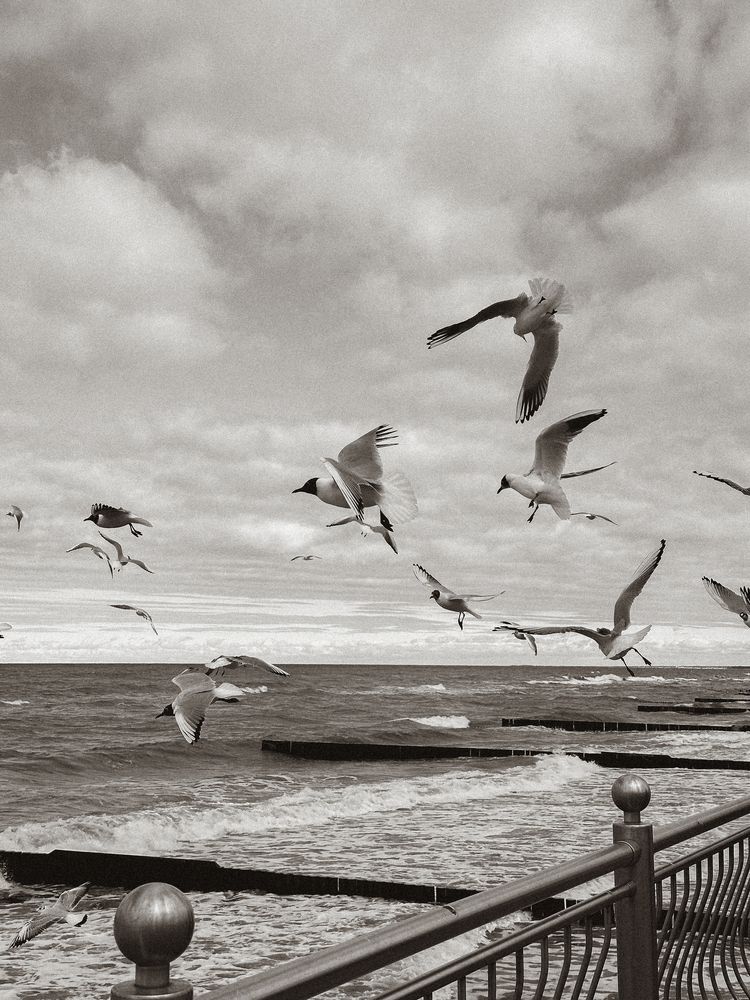 Photograph by Polina Pisar