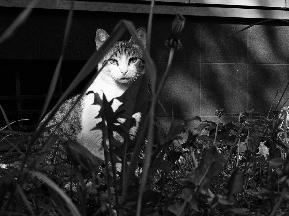 Фотография автора Maria Yakovleva