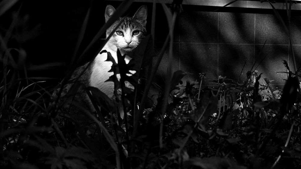 Фотография автора Maria Yakovleva