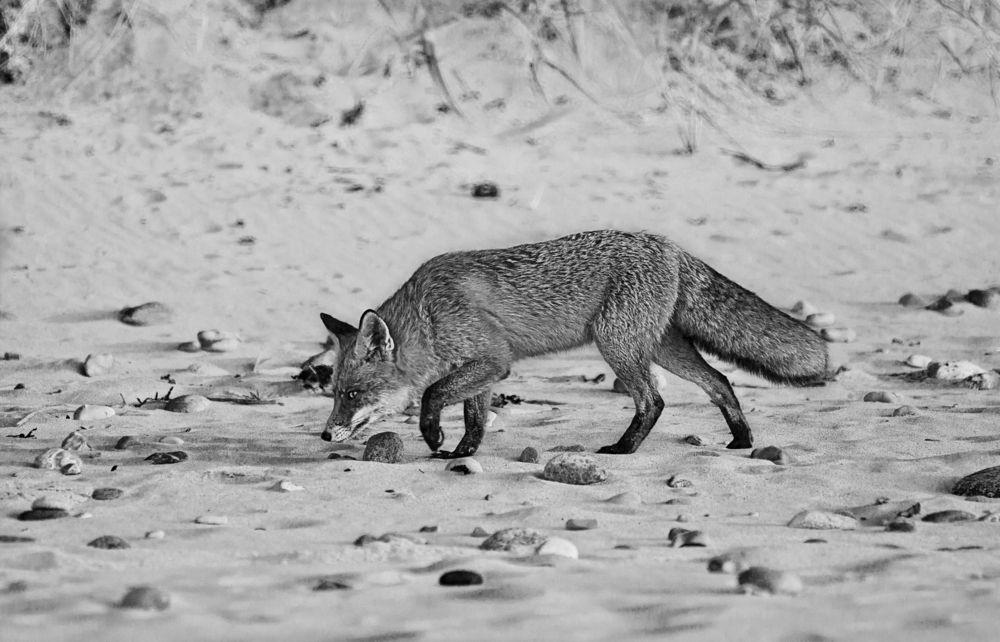 Photograph by Виктория Уварова