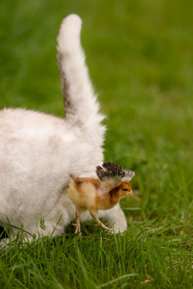 Photograph by Ольга Солодова