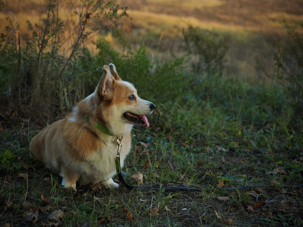 Photograph by Kiryl Brouchanka