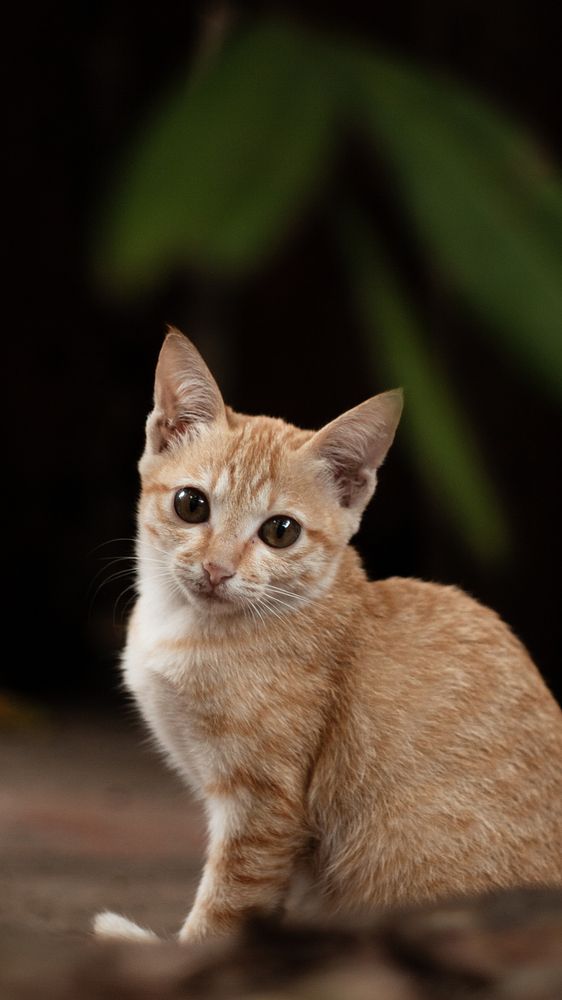 Фотография автора Bùi Nguyễn