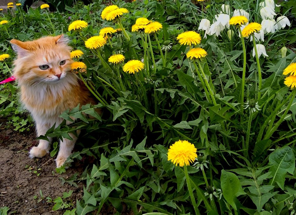 Photograph by Любовь Иванова