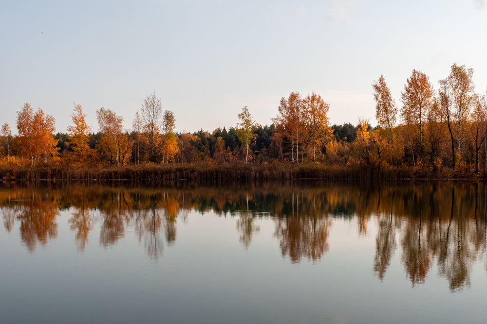 Фотография автора 