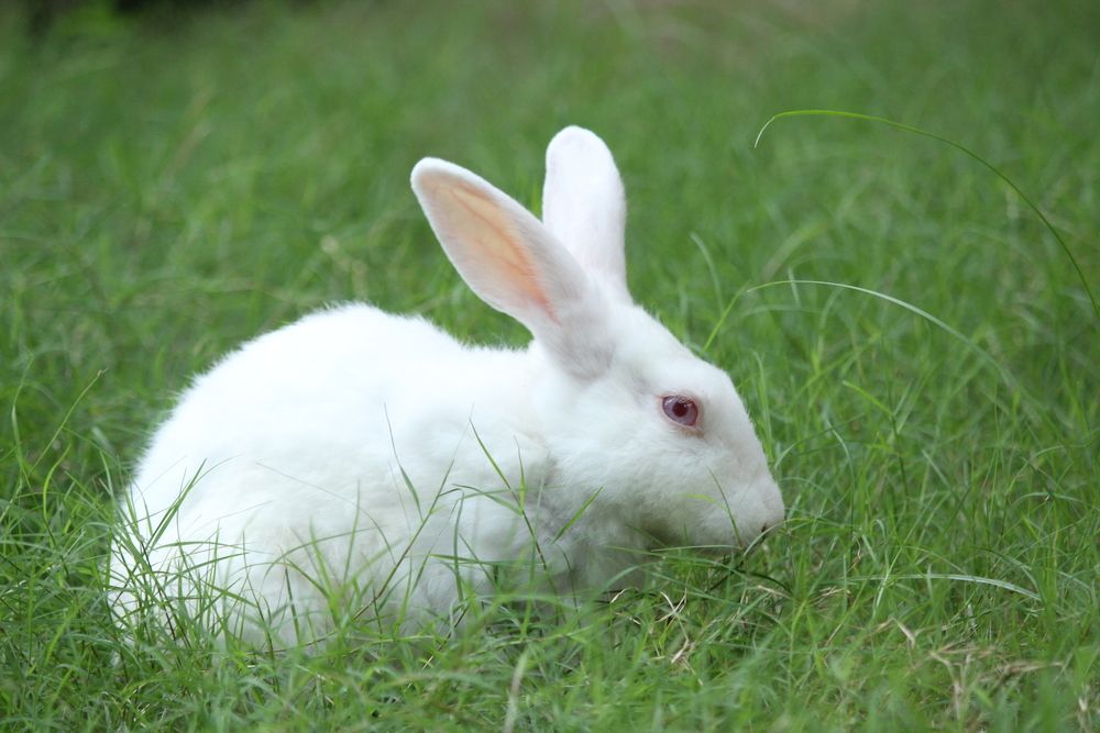 Photograph by Sharad vadoliya