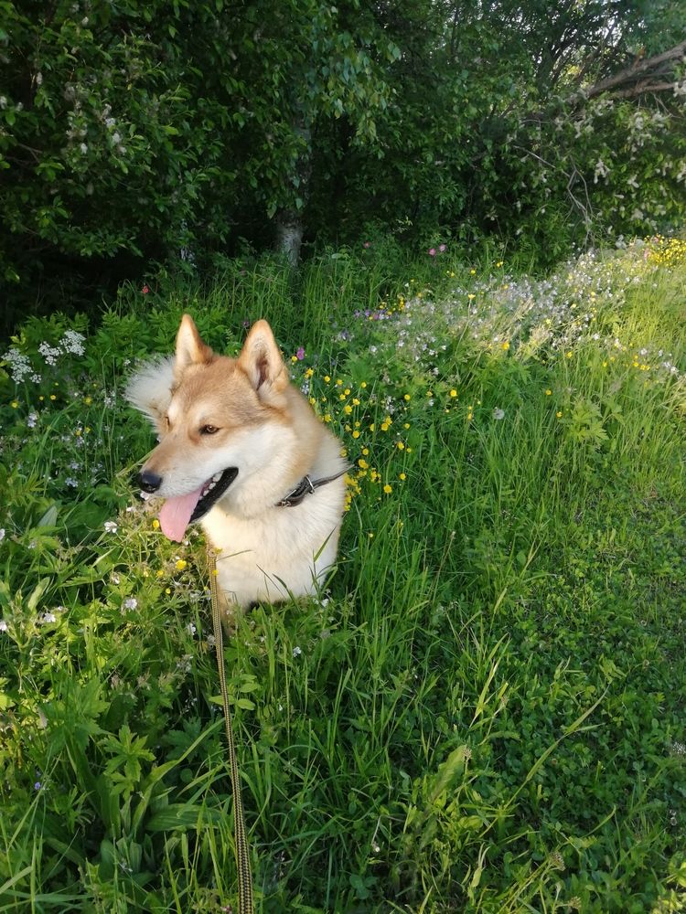 Photograph by Наталья Горовых