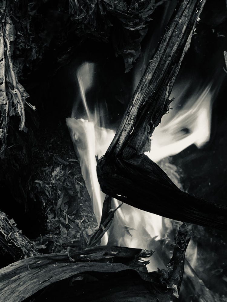 Photograph by Precious Williams