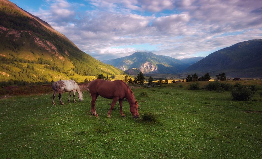 Photograph by Чичкин Валерий