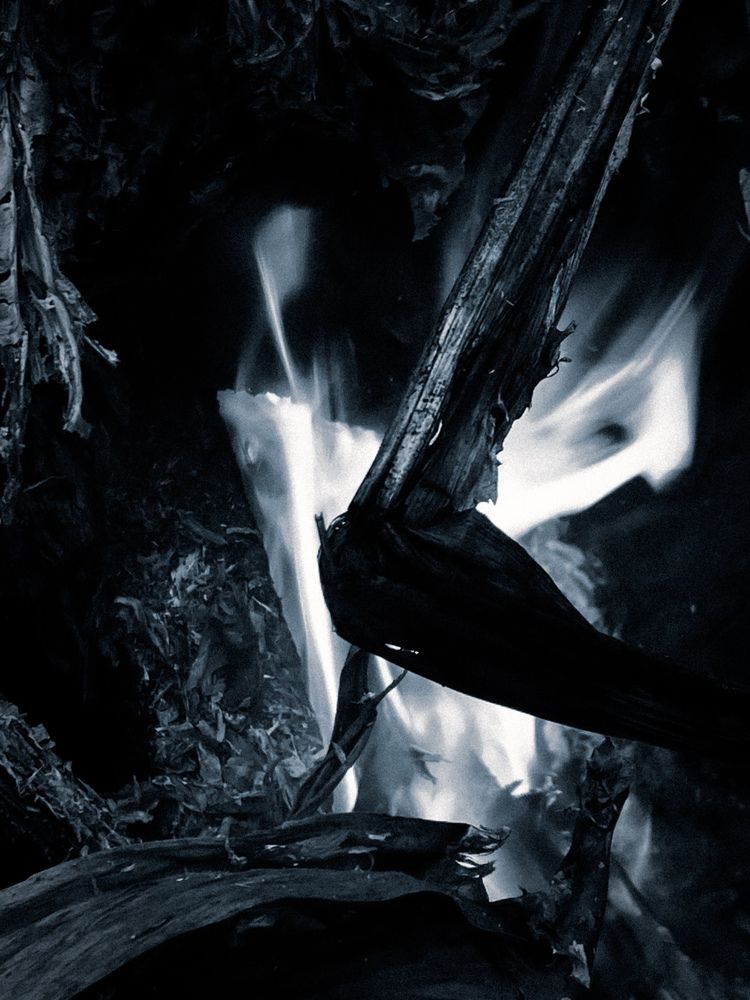 Photograph by Precious Williams