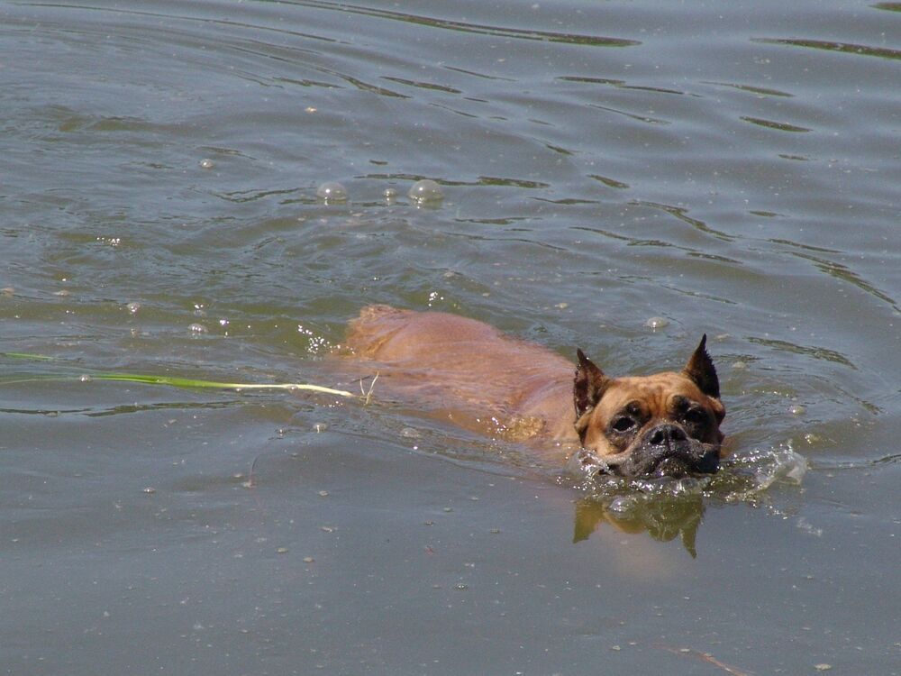 Photograph by Наталья Анисимова