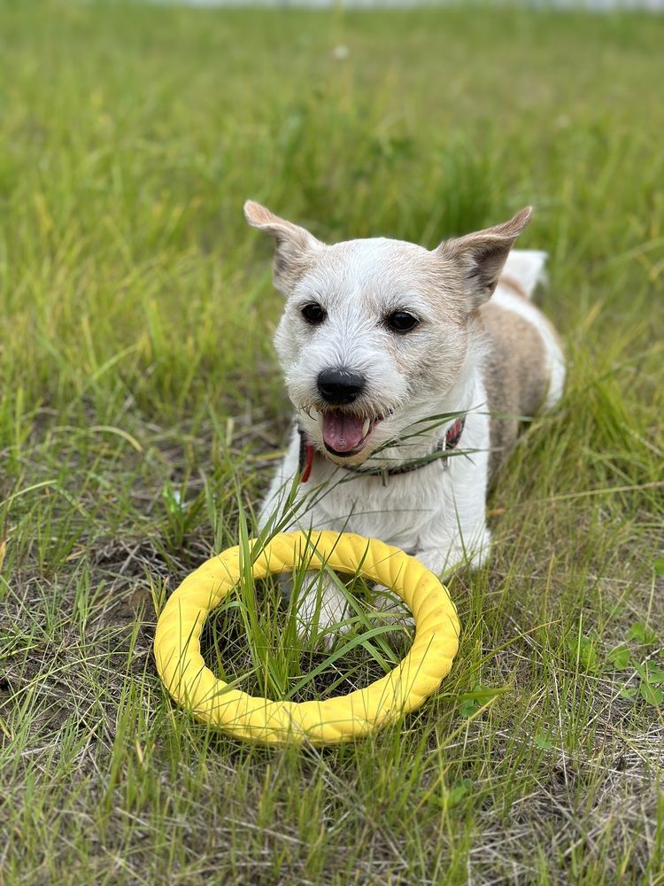 Photograph by Iuliia Govorunenko