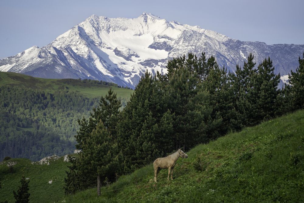 Photograph by Манаков Илья