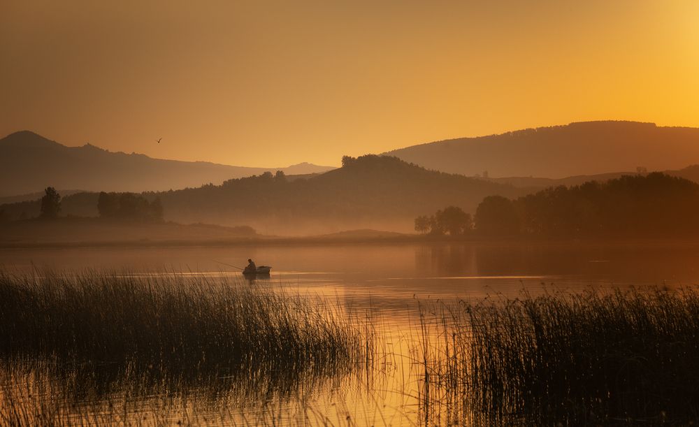 Photograph by Бирюкова Татьяна